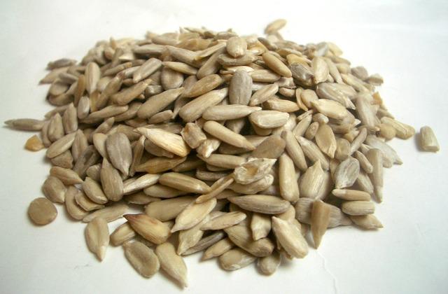 Découvrez les bienfaits des graines de tournesol