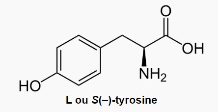 Molécule de tyrosine : bienfaits, danger et dosage en complément alimentaire.