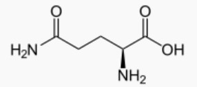 Molécule de glutamine