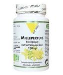 Millepertuis