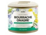 Bourrache Onagre