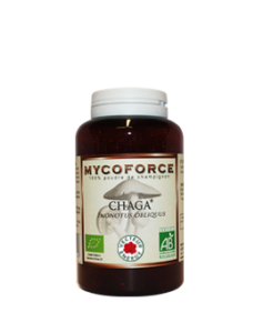 Photo de Chaga Mycoforce