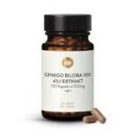 Ginkgo Biloba 100