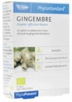 GINGEMBRE