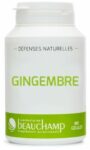 GINGEMBRE