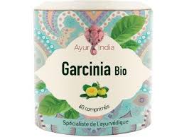 photo du garcinia bio de ayurindia