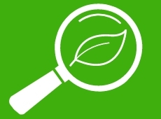 Feuille verte représentant la glycérine végétale, additif naturel utilisé en bio.