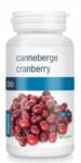 canneberge cranberry