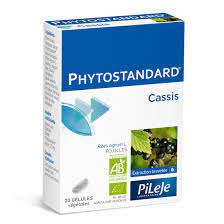 photo du Cassis de la marque Phytostandard