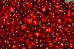 Baies de cranberry.