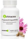 Echinacea