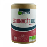 Echinacée Bio