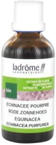 photo de l'echinacee pourpre de ladrôme