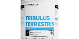 photo du Tribulus terrestris de la marque Nutrimuscle