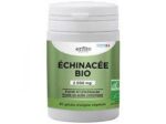 Échinacée Bio