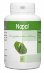 Nopal