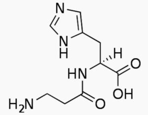 Molécule de carnosine.