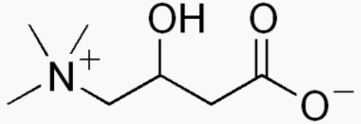 Molécule de carnitine.