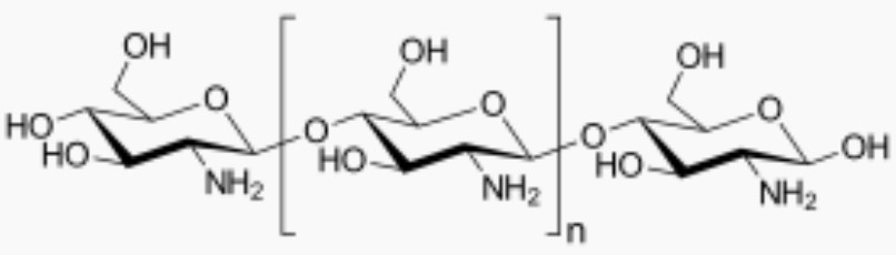 Molécule de Chitosane.