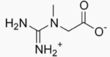 Molécule de Créatine.