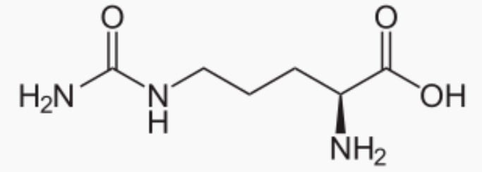 Molécule de Citrulline.