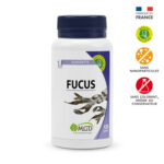 Fucus