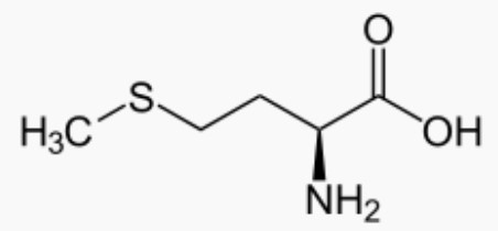 Molécule de méthionine.