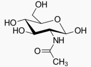 Molécule de n-acétylglucosamine.