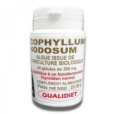 Photo du produit Ascophyllum Nodosum Qualidiet