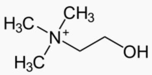 Molécule de choline.