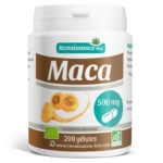 Maca