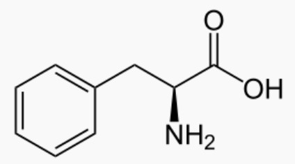 Molécule de phénylalanine.