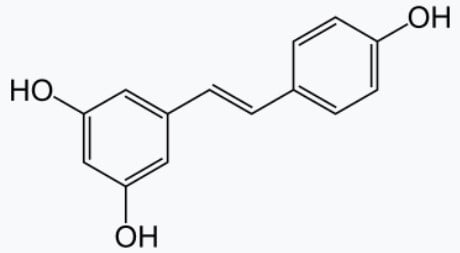 Molécule de resvératrol.