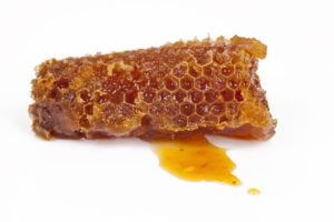 Alvéoles de la ruche, constituées de propolis.