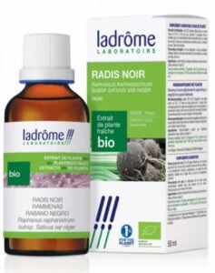 Photo du RADIS NOIR Ladrôme