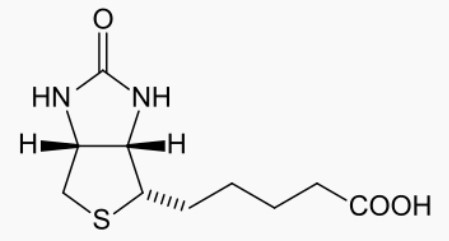 Molécule de biotine.