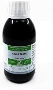 photo du saule blanc de dietanat