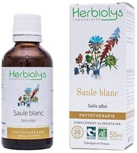 photo du saule blanc de herbiolys